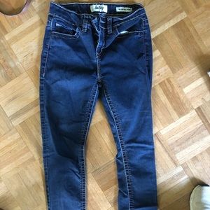 Daytrip Lynx High-rise Skinny